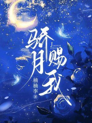 庶子的青云路封面