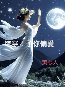 风醉斜阳封面