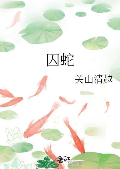 和木兔伪装情侣中封面