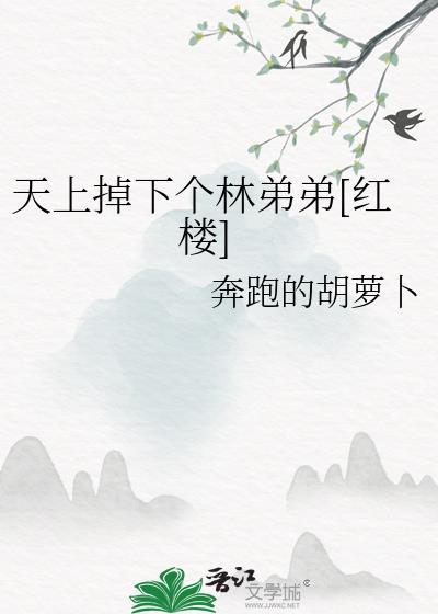 咒术师，但队友是侦探封面