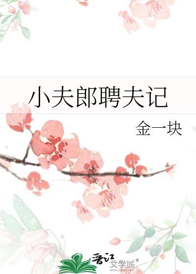 夏宝传3顶点封面