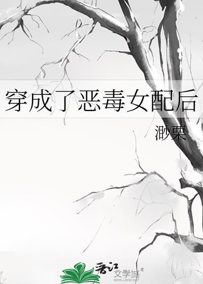 穿越红楼去写文封面