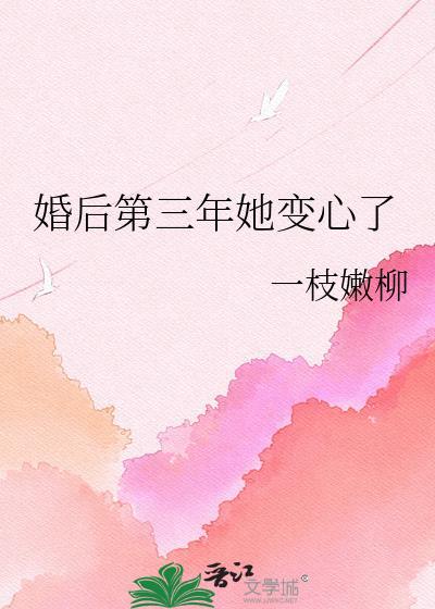 洪炉点雪封面