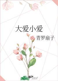洛希极限封面