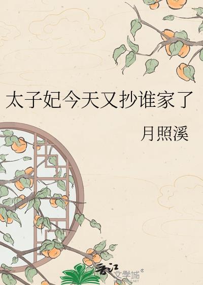 大理寺的小衙门封面