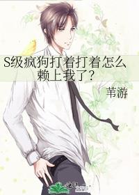 雾野封面