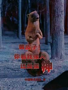 1996导演人生封面