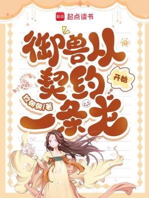 仙子操作指南封面