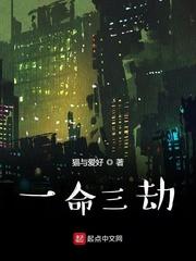 农民带舰你怕不怕封面