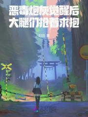 灵器世界的盗版仙人封面