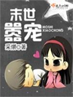 大九洲封面