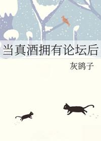 [综漫] 揍敌客女卧底警视厅封面