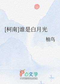 我的大理寺CSI手扎封面
