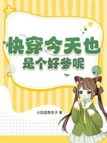 以攻补过封面