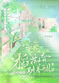 寒门首辅封面