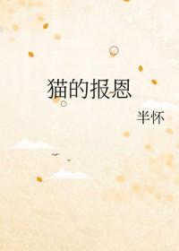 我的几生几世封面