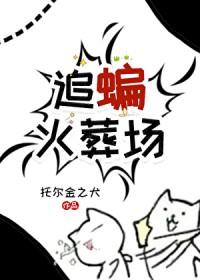 倒悬时封面
