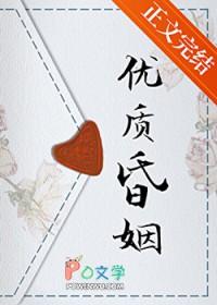 叶宇陈晓雅全集阅读封面
