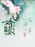 侯夫人与杀猪刀封面