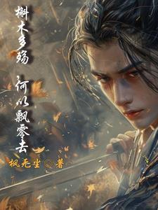 我的亮剑生涯封面