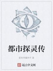 皑雪谜封面