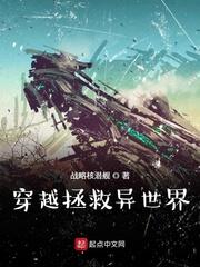 代号彡封面