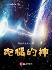 芯源战纪封面