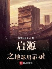 她曾是个炮兵封面