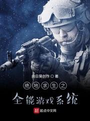 烈焰不灭封面