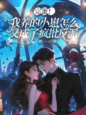 云影江湖封面