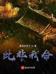 大雄战纪封面