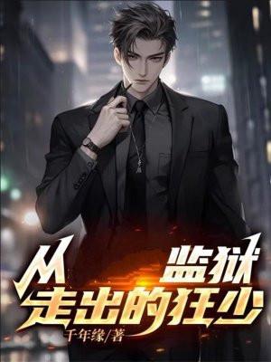 北宋末年一小兵封面