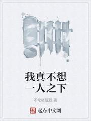 凤枭序幕聚仙之战封面