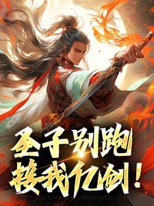 向上的风华封面