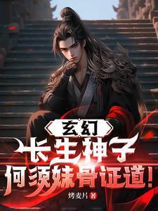 综盗笔：宠小哥呢封面