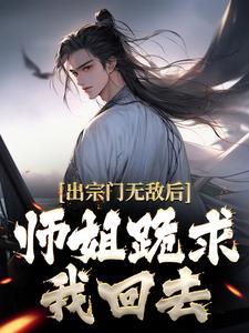 边月满西山封面