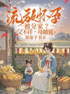 乔念叶妄川封面