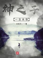双神之辉封面