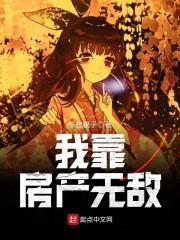 两界魔幻舰队封面