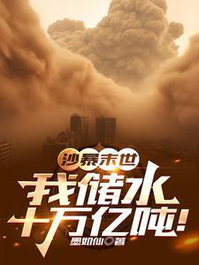 硅谷晨昏线封面