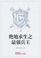 夜幕杀机TXT百度封面