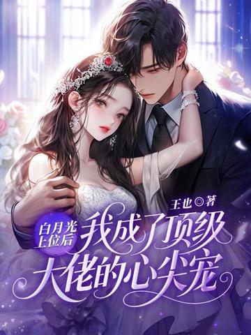 空间印记之轮回封面