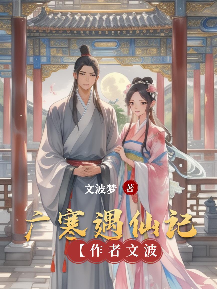 踏破云霄问苍穹封面