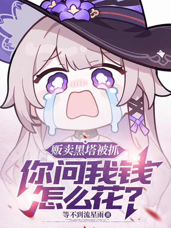 乱世以武止戈以力通天封面