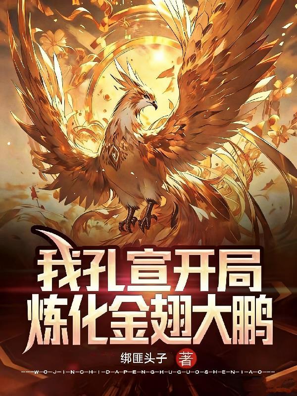 四合院：开局拒绝给易中海养老封面