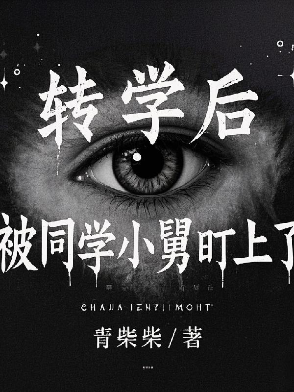 HP：时间洪流封面