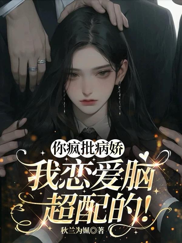 重生之婉清传封面
