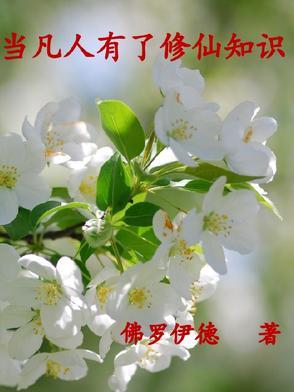 我在半岛卖烧烤封面
