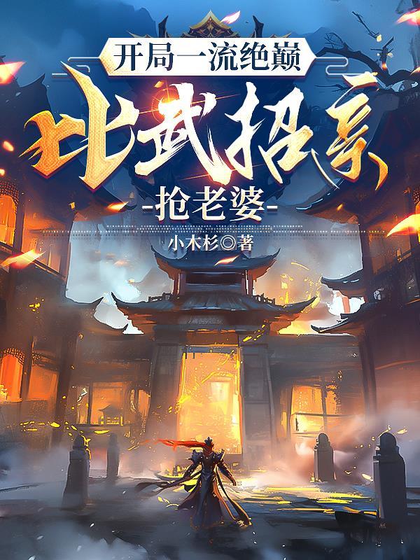 风息暗影封面