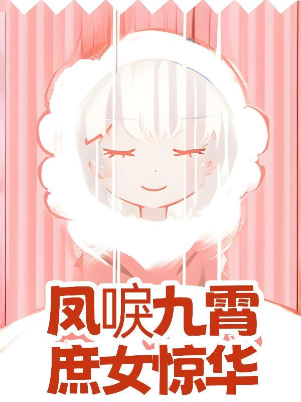 靖康逆转:易枫传封面